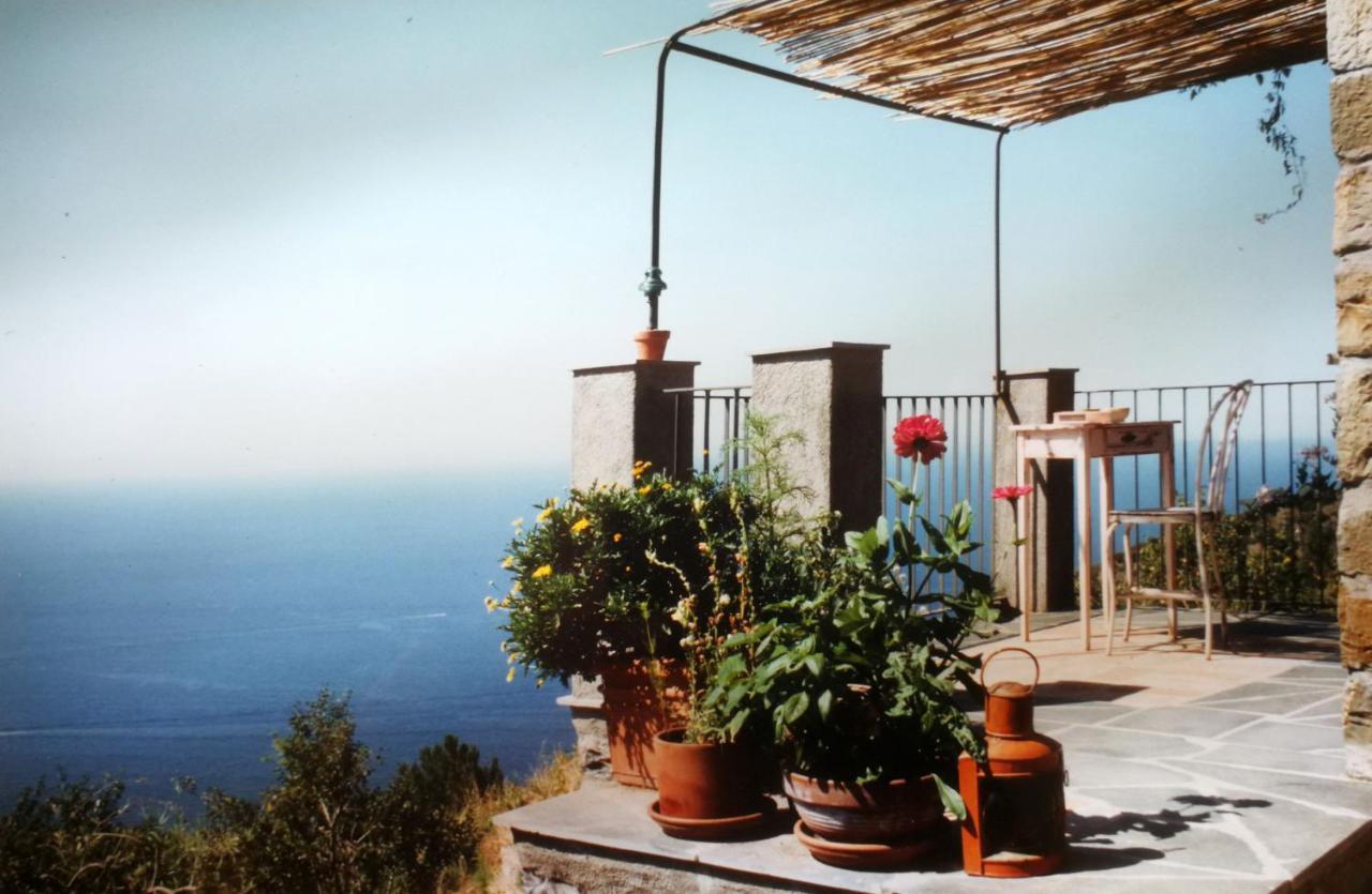 Cottage La Casa Del Pittore Reggimonti Bagian luar foto