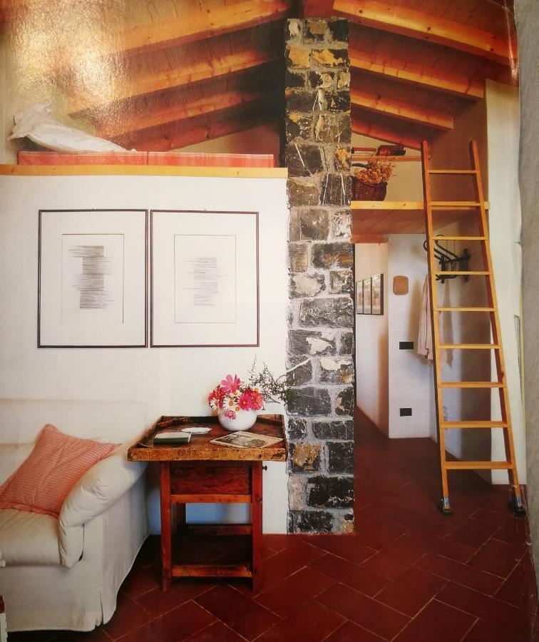 Cottage La Casa Del Pittore Reggimonti Bagian luar foto
