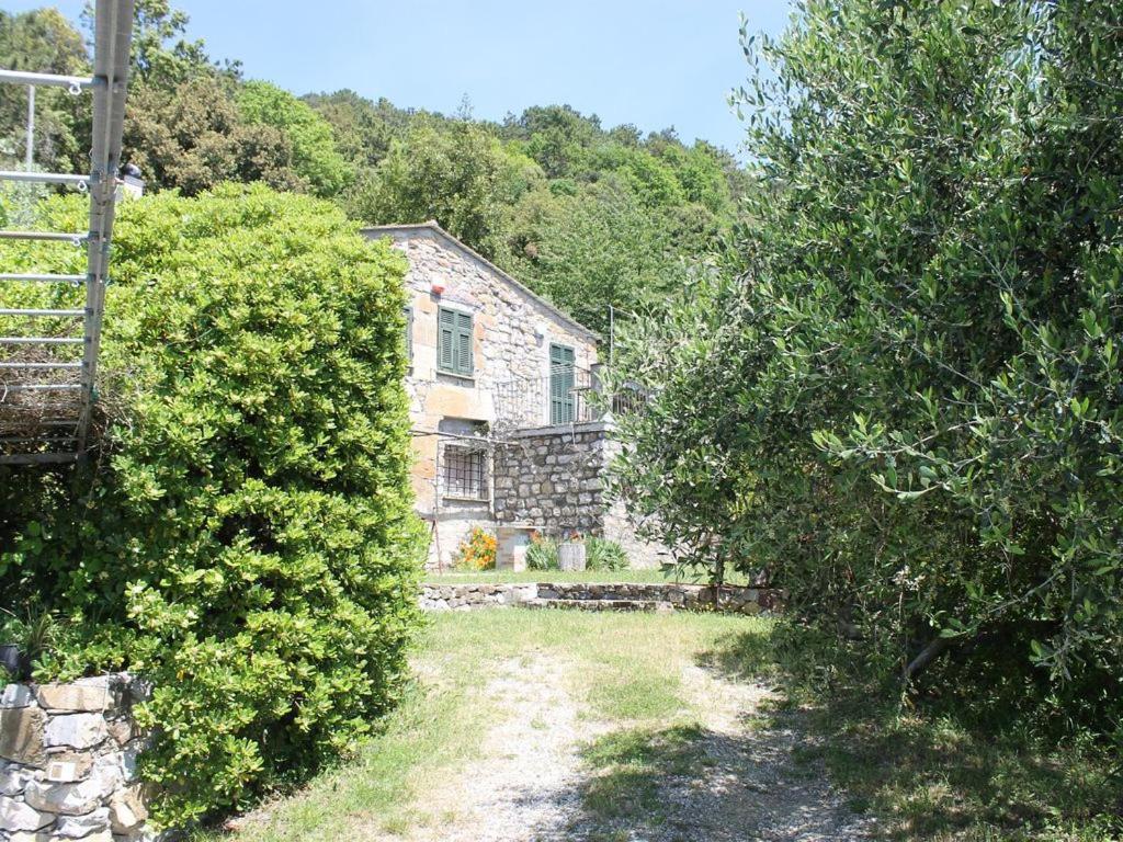 Cottage La Casa Del Pittore Reggimonti Bagian luar foto