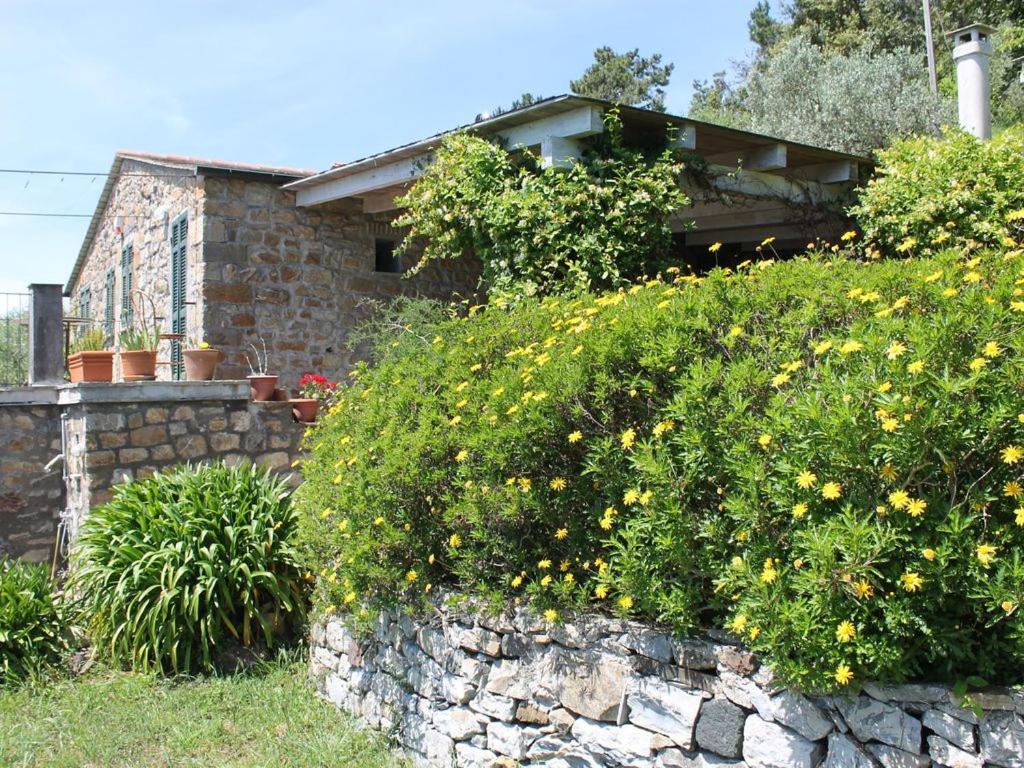 Cottage La Casa Del Pittore Reggimonti Bagian luar foto